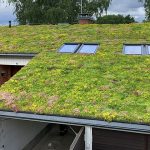 4. Huatulco green roofing