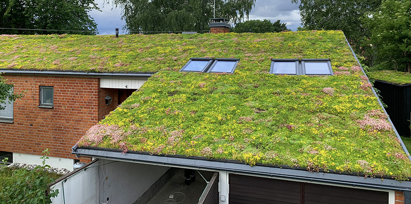 4. Huatulco green roofing
