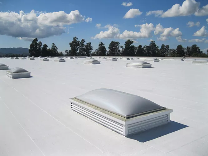 TPO-Roof