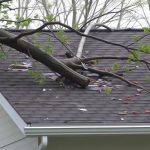 tree-branch-fallen-roof-damage-storm-aftermath-insurance-repair